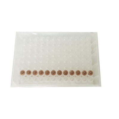 ISO13485 Magnetic Bead Rapid Virus Extraction Kit 48 Samples RNA Extraction Kit